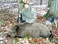 hunter with wild boar